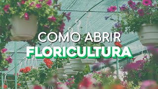 COMO ABRIR UMA FLORICULTURA [upl. by Eeldarb996]