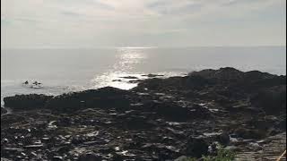 Morning Walk on Marginal Way Ogunquit Maine [upl. by Alahcim]