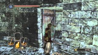 Dark Souls 2  Guide 26  Old Akelarre Part 1 [upl. by Scully513]