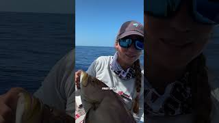 Catching Grouper on GREEN MAHI Slow Pitch Jig [upl. by Olimpia]