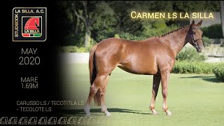 CARMEN LS LA SILLA [upl. by Suzzy]