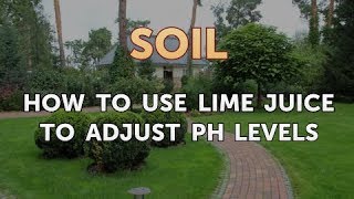 How to Use Lime Juice to Adjust pH Levels [upl. by Ester]