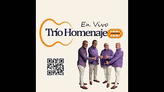 TRIO HOMENAJEAMOR AVENTURERO [upl. by Attena]