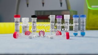 How to Invitrogen ReadyLabel Antibody Labeling Kits Protocol [upl. by Irovi]