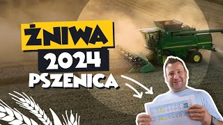 BARDOWSCY ŻNIWA 2024  PSZENICA [upl. by Reffineg]