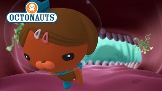 Octonauts The Cave with Teeth [upl. by Hasin865]