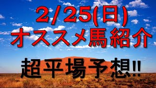 【競馬予想】中山8Rに広大な大地と鼻詰まりのわたし [upl. by Airec]