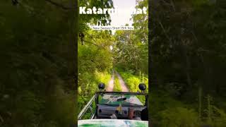 Katarniaghat Wildlife Sanctuary Is Best Place For Tiger amp Leopard Sighting In Uttar Pradesh [upl. by Narhem]