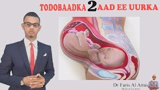 TODOBAADKA 2AAD EE UURKA MAXA DHACA XILIGAAS LASOCO Dr Faris [upl. by Draneb]