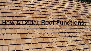 Whats eating your Roof Cedar Shakes Roof Cleaning 🪵 Wood Roof Cleaning Process [upl. by Ociredef]