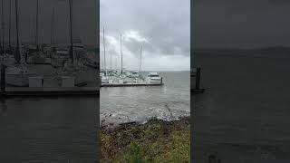 A Little Windstorm at the Marina sittingonthedockofthebay marinalife oceanlife [upl. by Ahsilahk]