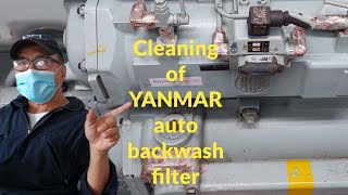 cleaning YANMAR auto backwash filter [upl. by Anairuy188]