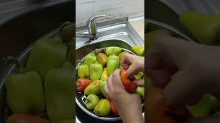 Заготівля перцю на зиму food recipe cooking їжа [upl. by Zolnay805]