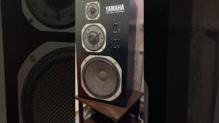 YAMAHA NS1000M 1 [upl. by Kcired]