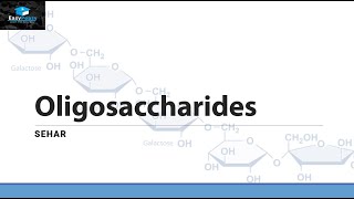 OLIGOSACCARIDES [upl. by Falconer]