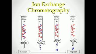 Chromatography in Urdu hindi  principles FSC  class 11 BS  MSC ions exchange chromatography [upl. by Editha]