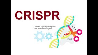 CRISPR  Clustered Regularly Interspaced Short Palindromic Repeats 2024 [upl. by Ossy]