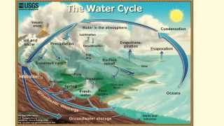 Hydrologic Cycle Explained  L22 [upl. by Yc267]