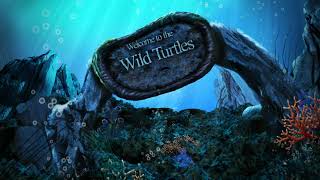 Welcome to the Wild Turtles  NFT  IMX [upl. by Sammy]