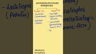 Anterior Pituitary Hormones  Hormones of Anterior Pituitary List pharmocology physiology [upl. by Kieran]