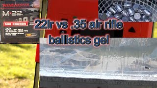 22LR vs 35 cal air rifle slugs Hatsan BT65 [upl. by Yrreg]