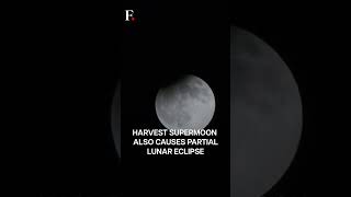 WATCH Partial Eclipse Of Harvest Supermoon  Subscribe to Firstpost [upl. by Nylitsirk268]