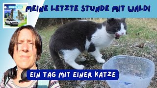 ASMR Katze frisst Ausgiebiger Abschied von der wunderbaren Waldi  Leben im Auto 14 April 2024 [upl. by Leirej983]