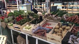 Découverte du marché de SaintCyprien avec le bus du Calagogo [upl. by Lucita]