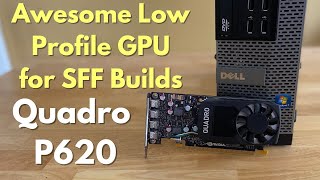 Cheap Awesome Low Profile GPU Quadro P620 [upl. by Nonnaehr]