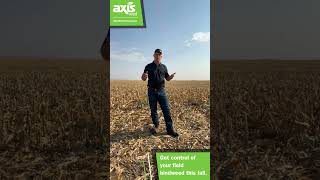 Get control of your field bindweed this fall [upl. by Arolf4]