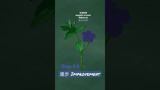 【366花語Sep14】進步  improvement [upl. by Kerrie202]