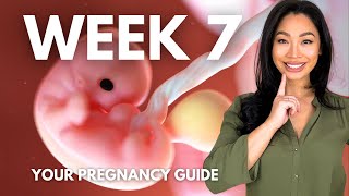 7 Weeks Pregnant  Your Pregnancy Guide WeekbyWeek [upl. by Alimaj910]