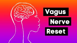 Mindfulness Exercise Vagus Nerve Reset [upl. by Ebba]