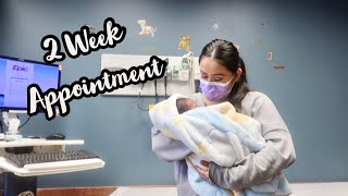 Newborns 2 Week Appointment  Life As New Parents [upl. by Anahsor349]