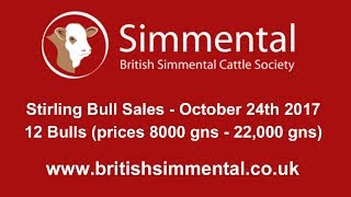 Simmental Bull Sale at Stirling top 12 prices 8000 gns  12000 gns October 26th 2017 [upl. by Walworth126]