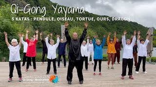 Qi Gong la méthode du Docteur Yayama  Stage en juin 2024 dans le Cantal Auvergne [upl. by Nilak282]