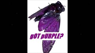 Whoop that trick PurpleSyrup HorrorCore Style Remix 3338hz FTMFSPLW [upl. by Gabrila]