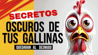 Secretos de las Gallinas Ponedoras Que Te SORPRENDERÁN [upl. by Ecylahs]