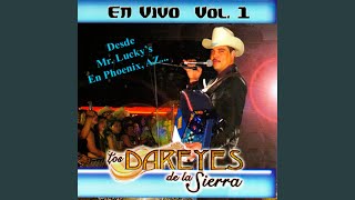 Desmadre Mix En Vivo [upl. by Nagear]