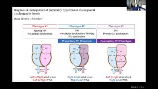 Hemodynamics of Congenital Diaphragmatic Hernia [upl. by Haisoj]