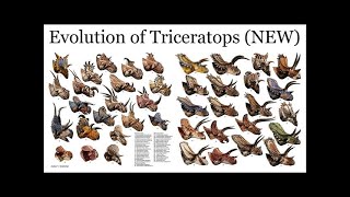 Ceratopsian family tree [upl. by Tnecillim]