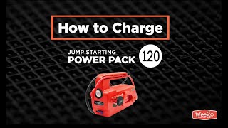 How to Charge the Weego 120 [upl. by Dachi]