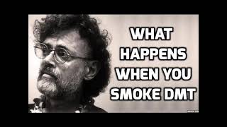 Terence McKenna  What Happens When You Smoke DMT [upl. by Adnuhsor]