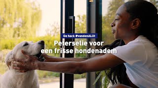 Peterselie voor een frisse hondenadem [upl. by Arym]