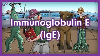 Immunoglobulin E IgE Mnemonic Preview for USMLE [upl. by Nodnek]