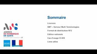 SNOMED CT 67 juin Data Scientists 67 SNOMED CT en France [upl. by Alleyne]