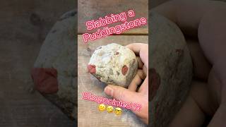 Slabbing Puddingstone michiganrocks lapidarist puddingstones wetsaw lapidarymachine jasper [upl. by Intyre29]