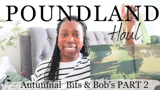 POUNDLAND PEPCO AUTUMNAL🍂 HOMEWAREDECOR HAUL  MORE AMAZING FINDS PART 2 poundland pepco [upl. by Ronny]