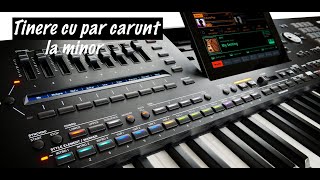 ❌ Ritm Tinere cu par carunt la minor ❌ Korg PA5X ❌ [upl. by Ahsiri179]