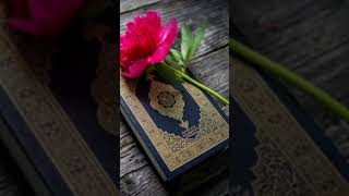 Ziska beta hafiz a Quran ho giyaquran love viralvideo iammuslim islimc vuralshort loveallahﷻ [upl. by Ayital]